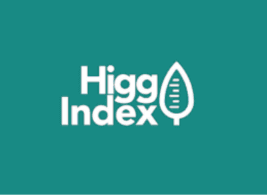 HIGG FEM